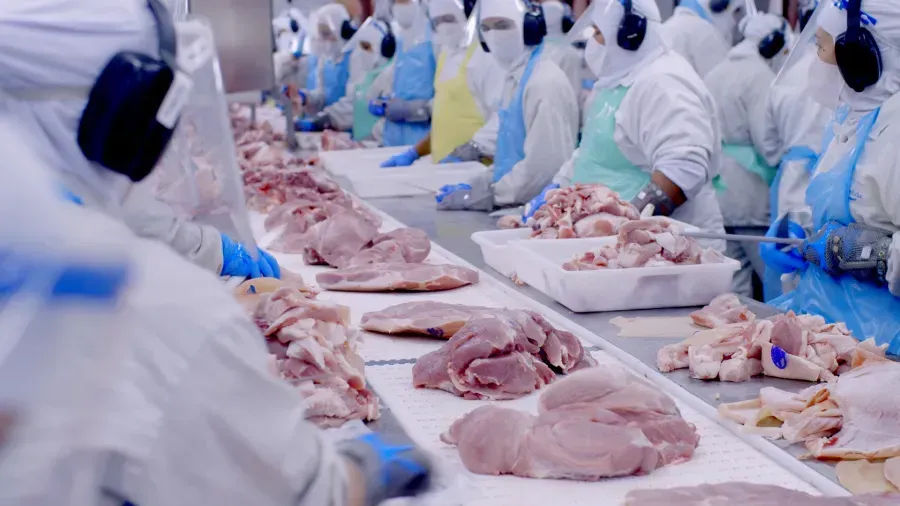 Imagem de compartilhamento para o artigo China e União Europeia ameaçam exportações de carne bovina do Brasil da MS Todo dia